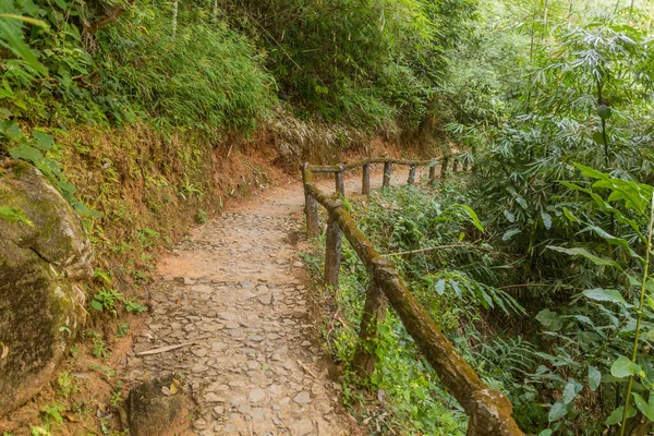 Ścieżka Wodospadu Huai Mae Sai Niedaleko Chiang Rai Tajlandia — Zdjęcie stockowe