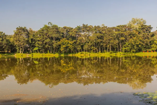 泰国清莱省的一个小湖泊 — 图库照片