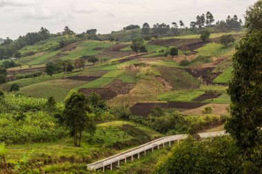 Fort Portal, Uganda yakınlarındaki krater göl bölgesinin kırsal manzarası
