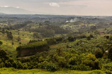 Fort Portal, Uganda yakınlarındaki krater göl bölgesinin verimli kırsal manzarası