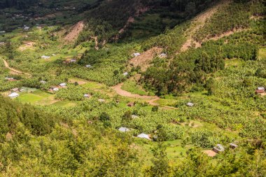 Lush landscape near Kabale, Uganda clipart