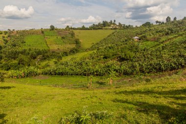 Fort Portal, Uganda yakınlarındaki krater göl bölgesinin verimli kırsal manzarası