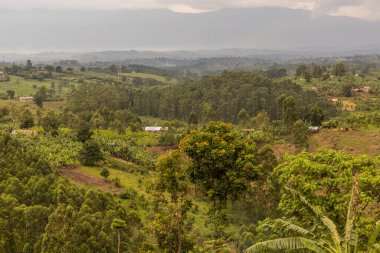 Fort Portal, Uganda yakınlarındaki krater göl bölgesinin verimli kırsal manzarası