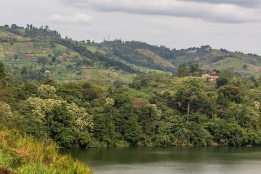 Fort Portal, Uganda yakınlarındaki Lyantonde Gölü çevresindeki manzara.