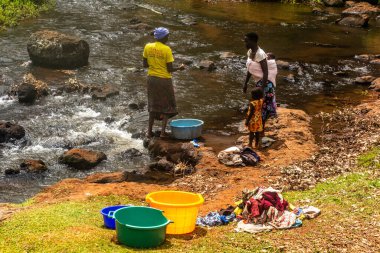 SIPI, UGANDA - 28 Şubat 2020: Sipi Nehri, Uganda 'da çamaşır yıkayan yerel kadınlar