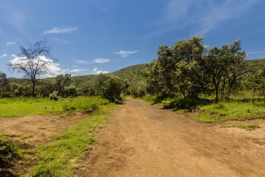 Kenya 'daki Longonot Ulusal Parkı' nda yürüyüş yolu.