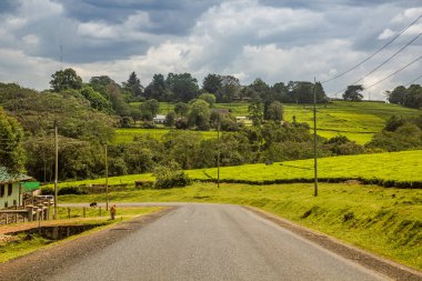 Kenya, Kericho kasabası yakınlarındaki çay tarlalarından geçen yol.