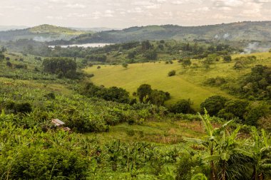 Fort Portal, Uganda yakınlarındaki Nyabikere Gölü ile bereketli kırsal alan