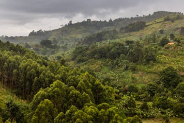 Fort Portal, Uganda yakınlarındaki krater göl bölgesinin verimli kırsal manzarası