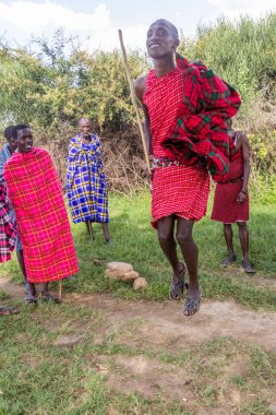 MASAI MARA, KENYA - 20 Şubat 2020: Masai halkı zıplama dansını yapıyor, Kenya