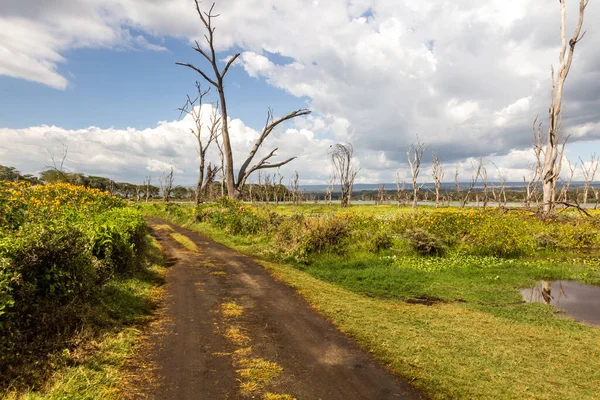 Weg Zum Crescent Island Game Sanctuary Naivasha See Kenia — Stockfoto
