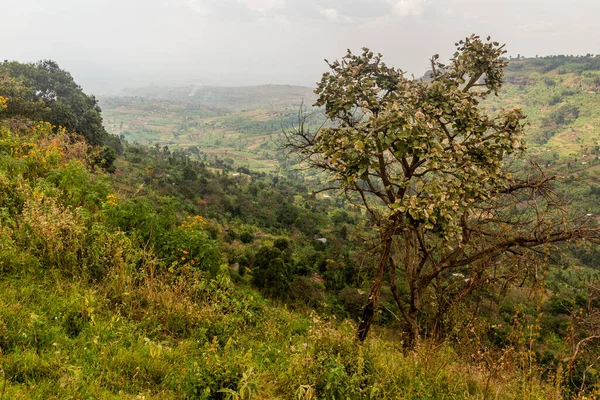 Vidéki Táj Közelében Sipi Falu Uganda — Stock Fotó