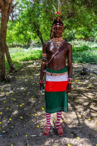 南霍尔 2020年2月12日 桑布鲁族年轻人 在割礼仪式结束后 头戴五颜六色的鸵鸟羽毛头饰 在肯尼亚South Horr村拍摄 — 图库照片