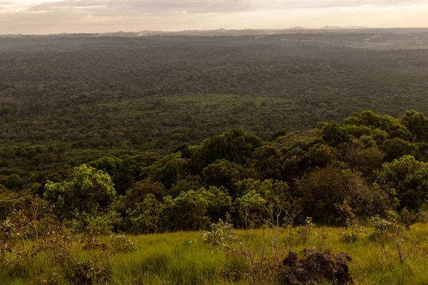 Flygfoto Över Kakamega Forest Reserve Kenya — Stockfoto
