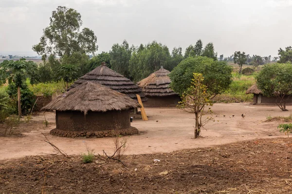 Cabanes Village Dans Nord Ouganda — Photo