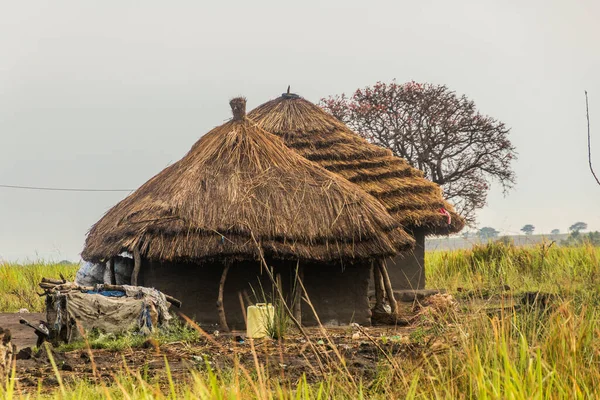 乌干达北部的农村住房 — 图库照片