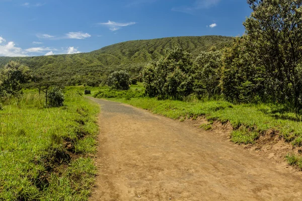 Wanderweg Longonot National Park Kenia — Stockfoto