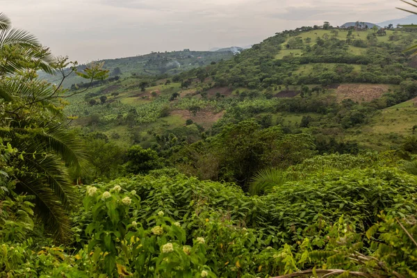 stock image Lush rural landscape of the crater lakes region near Fort Portal, Uganda