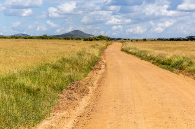 Kenya 'daki Masai Mara Ulusal Rezervi' nde izler