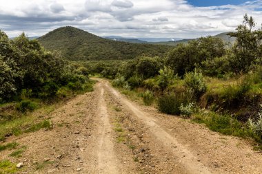 Kenya, Hell 's Gate Ulusal Parkı' nda pist