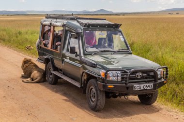 MASAI MARA, KENYA - 19 Şubat 2020: Safari aracı ve bir aslan Masai Mara Ulusal Rezervi, Kenya 'da dinleniyor