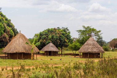 Nyero, Uganda 'daki köy kulübeleri.