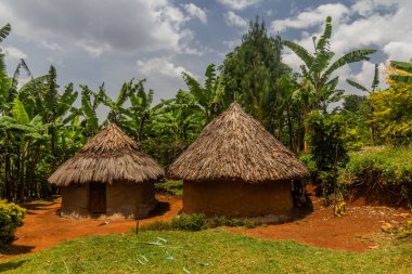 Sipi köyü yakınlarındaki kırsal evler, Uganda