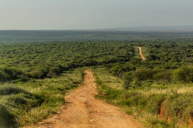 Kenya, South Horr köyü yakınlarındaki çakıl yolu.