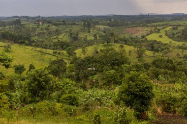 Fort Portal, Uganda yakınlarındaki krater göl bölgesinin verimli kırsal manzarası