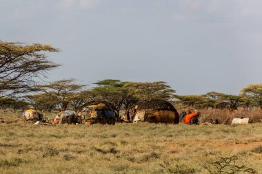 Kenya, Marsabit kasabası yakınlarındaki Samburu kabilesi köyü