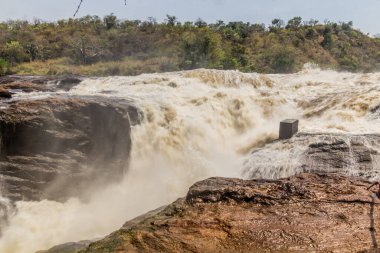 Victoria Nil Nehri, Uganda 'daki Murchison Şelalesi manzarası