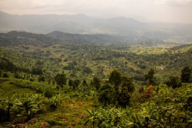 Elgon Dağı yakınlarındaki kırsal alan, Uganda