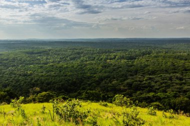 Kenya 'daki Kakamega Orman Rezervi' nin hava görüntüsü