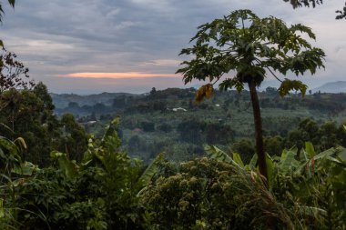 Fort Portal, Uganda yakınlarındaki krater göl bölgesinin yemyeşil kırsal manzarasının akşam manzarası