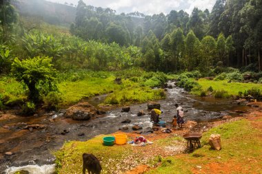 SIPI, UGANDA - 28 Şubat 2020: Sipi Nehri, Uganda 'da çamaşır yıkayan yerel kadınlar