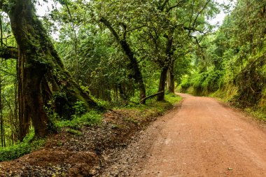 Kabale kasabası ile Bunyonyi Gölü arasındaki yol, Uganda