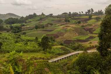 Fort Portal, Uganda yakınlarındaki krater göl bölgesinin kırsal manzarası