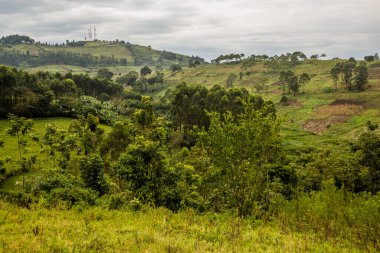 Fort Portal, Uganda yakınlarındaki krater göl bölgesinin verimli kırsal manzarası