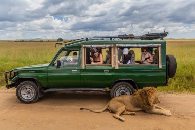 MASAI MARA, KENYA - 19 Şubat 2020: Aslan Kenya 'daki Masai Mara Ulusal Rezervi' nde safari aracının gölgesinde dinleniyor