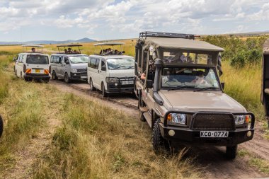 MASAI MARA, KENYA - FEBRUARY 19, 2020: Safari vehicles in Masai Mara National Reserve, Kenya clipart
