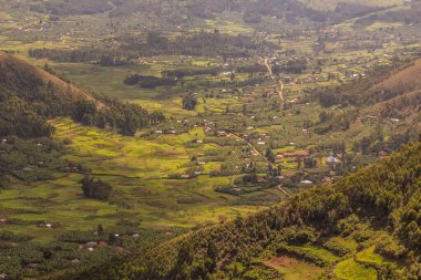 Kabale, Uganda yakınlarındaki yemyeşil manzara