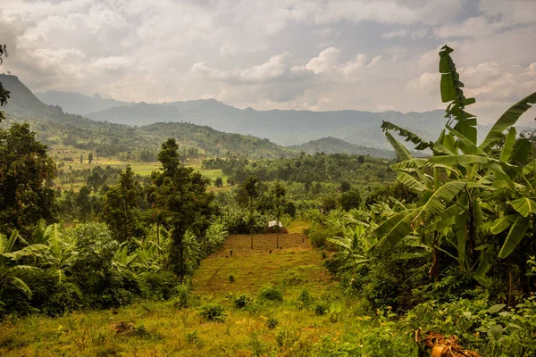 Paisaje Rural Cerca Budadiri Uganda — Foto de Stock