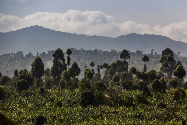Venkovská Krajina Poblíž Vesnice Sipi Uganda — Stock fotografie