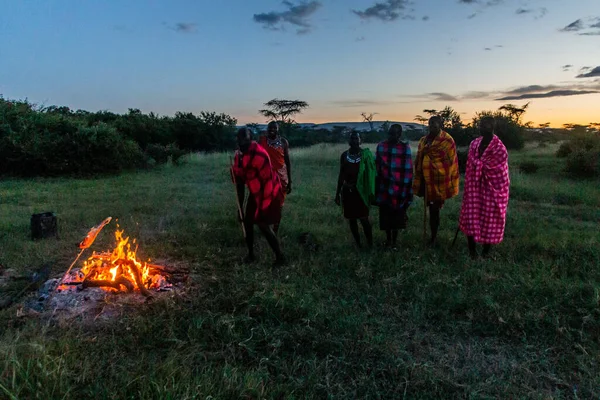 Masai Mara Kenia Februar 2020 Masai Männer Braten Eine Ziegenkeule — Stockfoto