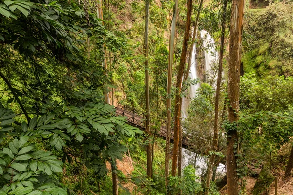 Blick Auf Die Kisiizi Wasserfälle Uganda — Stockfoto