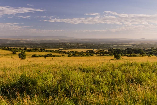 Landscape Masai Mara National Reserve Kenya — Stock Photo, Image