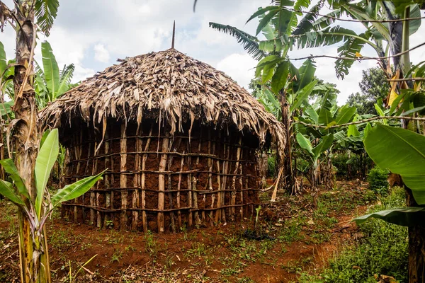Сельский Дом Деревне Сипи Уганда — стоковое фото