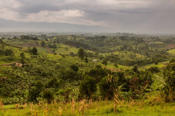 Buja Vidéki Táj Kráter Tavak Régió Közelében Fort Portal Uganda — Stock Fotó