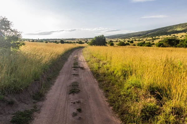 Track Masai Mara National Reserve Kenya — Stock Photo, Image
