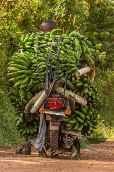 Fort Portal Uganda March 2020 Motorbike Carrying Bunches Matoke Plantains — Stock Photo, Image